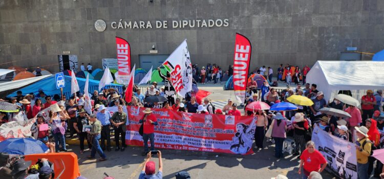 Paro nacional de la CNTE por 72 horas en protesta por Ley del ISSSTE ...